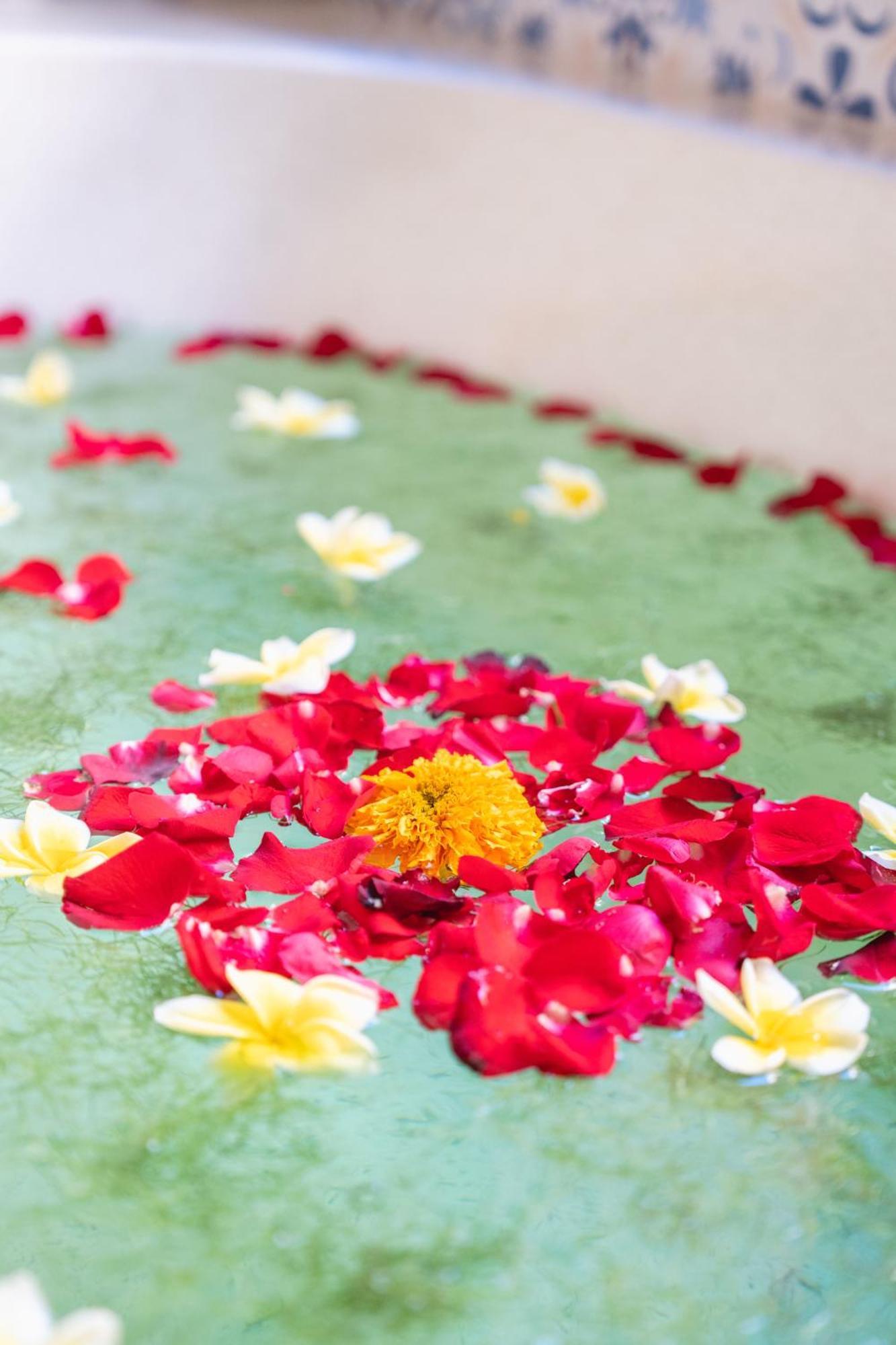 The Compass Rose Ubud Экстерьер фото